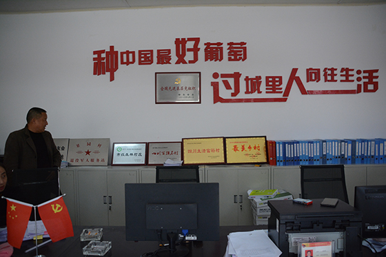彭山区观音镇果园村是全国闻名的葡萄村，是全国乡村治理示范村.JPG