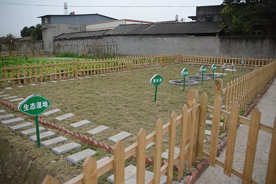 彭山区是眉山市第一个探索出低成本高效率厕污共治模式，被四川省农业农村厅列入“农村厕所革命典型技术参考模式”.JPG