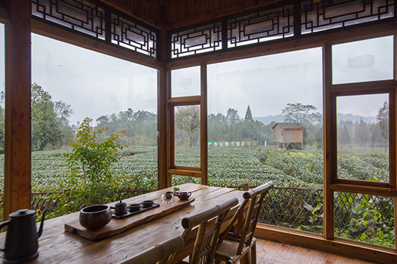 合江的茶园变景区.jpg