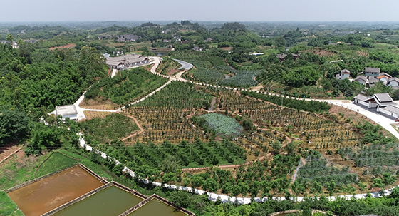尖山乡村振兴学院水果采摘园.png