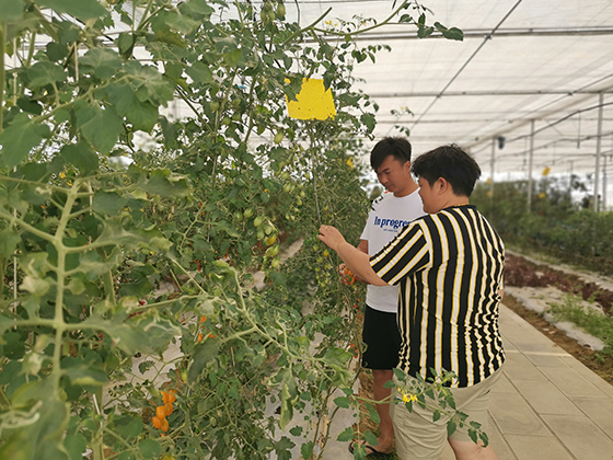 四川米易县现代农业园区一角（卢锦根摄）.jpg