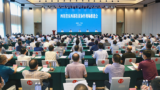 推进会现场.jpg