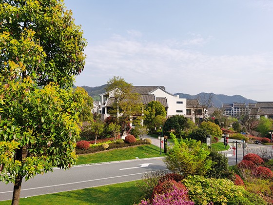 余村家家户都住上了别墅式民居.jpg