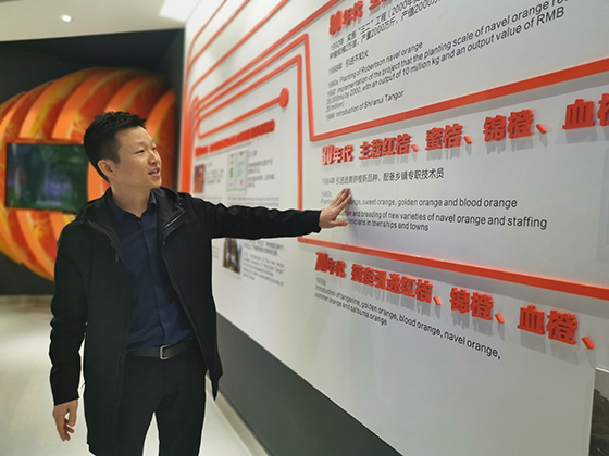 四川省丹橙现代果业有限公司副总经理黄翔介绍桔橙产业发展情况.jpg