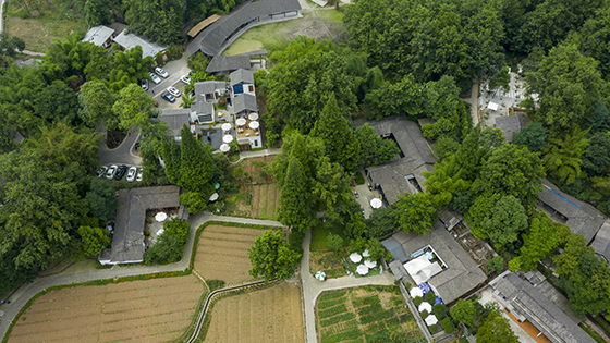 道明镇竹艺村  张文洪 摄.jpg