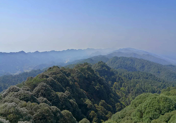 五华山风光  邻水县委宣传部供图.png
