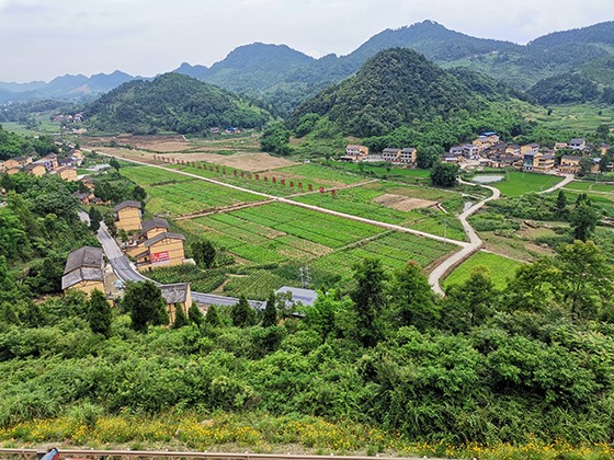 邻水贵人槽农旅整合发展区  周淼葭 摄.jpg