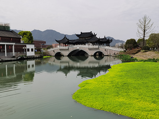 滕头村内一景.jpg