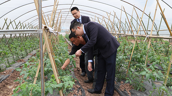 岳池农商银行客户经理实地了解农业业主生产情况.JPG