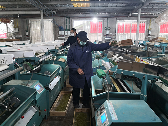 1夹江农信联社积极支持茶叶生产加工.jpg