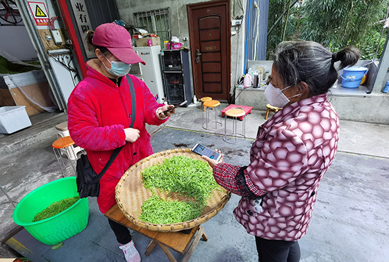 2信贷员了解茶农经营情况.jpg