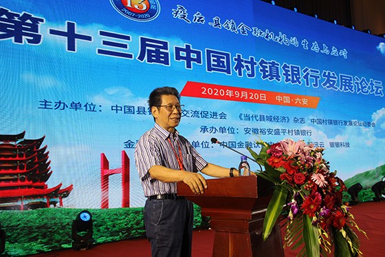 四川省县域经济学会会长、中国县镇经济交流促进会副会长张成明作主旨演讲1.JPG