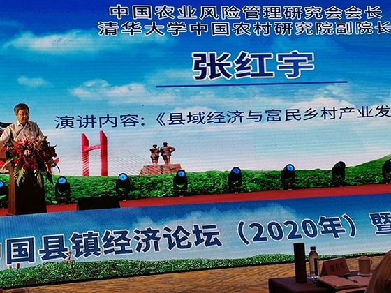 中国农业风险管理研究会会长、清华大学中国农村研究院副院长张红宇演讲.jpg