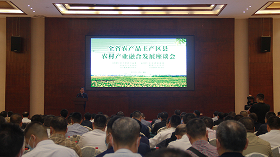 1.会议现场.JPG