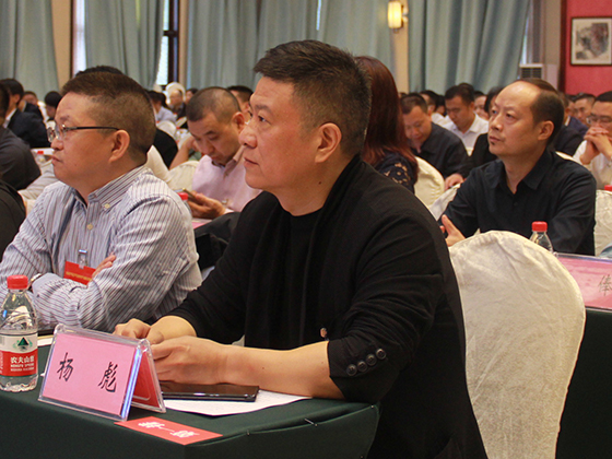 6.四川省县域经济学会副会长兼秘书长杨彪出席座谈会.JPG
