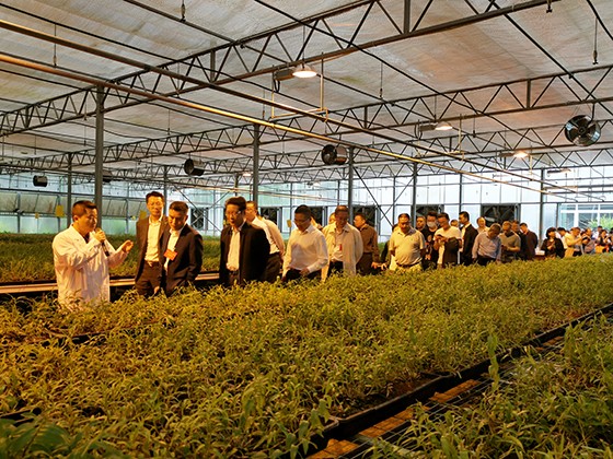 11.与会人员考察渠县植物组培工厂.jpg