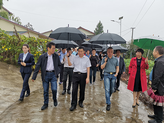 12.考察中滩天山村现代水产基地.jpg