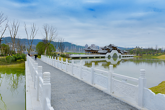 DSC_41621.南部水城禹迹岛公园一角.JPG