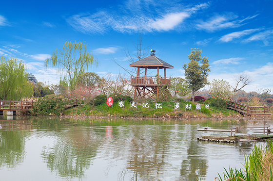 郫都区农村环境治理典范-唐昌镇先锋村“农夫记忆”景区.jpg