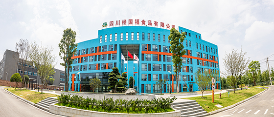 杨国福智能工厂外景.jpg