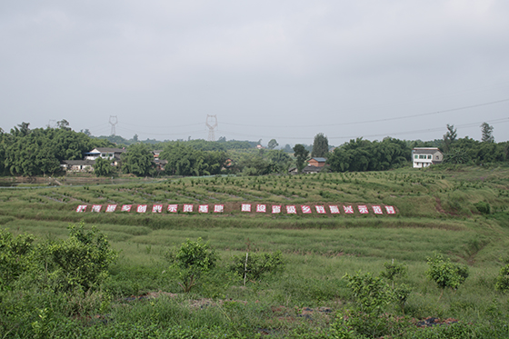 04-红旗村柑橘产业园.JPG
