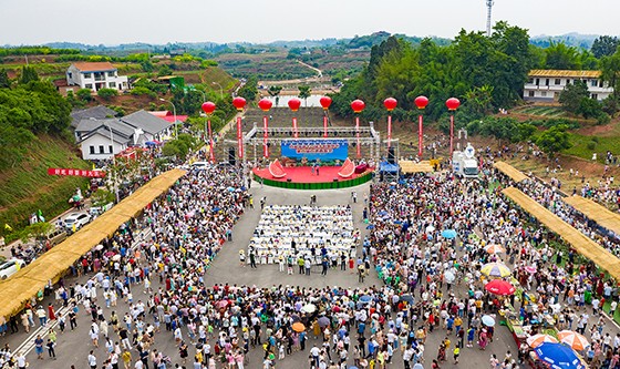 02 九洪西瓜节开幕式成景.jpg