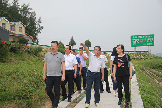 恩阳区双胜镇党委书记廖泓宇（右二）介绍芦笋发展情况.JPG