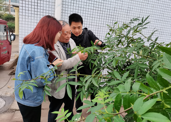 孙总（中）在向记者介绍花椒已生新萌芽.jpg