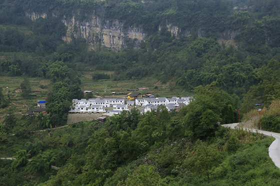 5 屏山县清平乡龙宝村新建聚居点.JPG