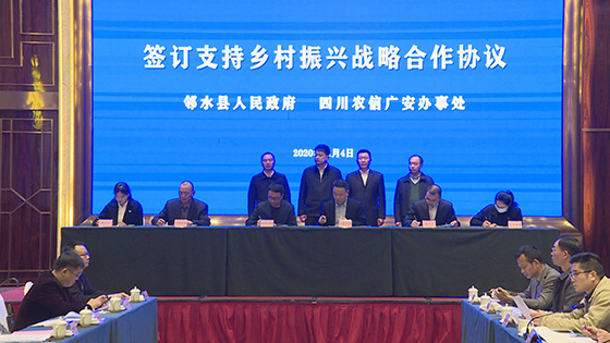 签约现场.jpg