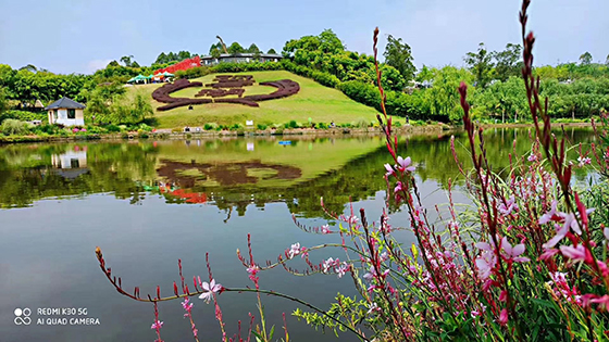 公园一景.jpg