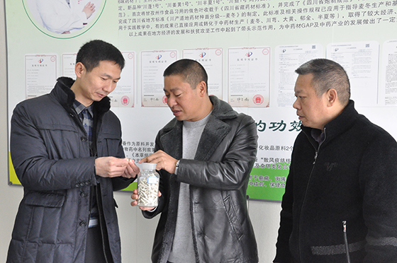 蒋锡武（中）向乐至县委副书记李文波（左）介绍白僵蚕 潘兴扬 摄.JPG