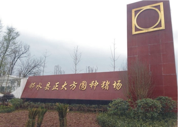 图形1.jpg