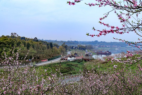 3月8日，四川省广安华蓥市明月镇在脱贫攻坚中发展起来的“渠江画廊” 邱海鹰 摄.JPG