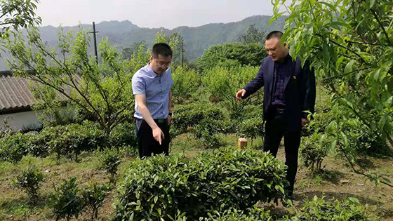 1屏山农商银行党委书记朱成刚同志到大乘镇走访调研金融服务乡村振兴工作.jpg