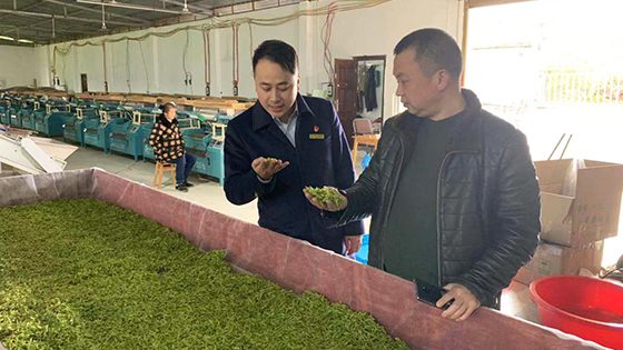 3屏山农商银春茶上市期间开展上门服务.jpg
