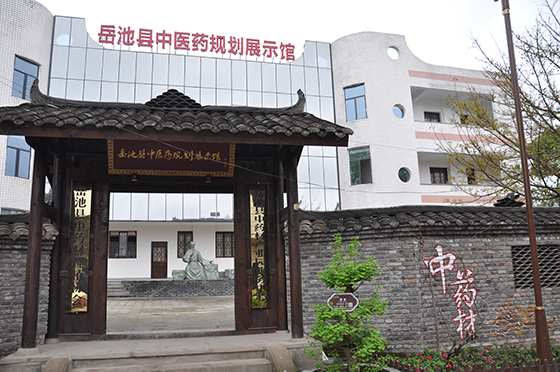 3 岳池县中医药规划展示馆  黄世涛　摄.JPG