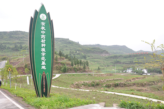 有机中药材种植示范基地.JPG