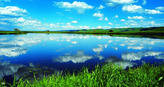 日干乔湿地.jpg
