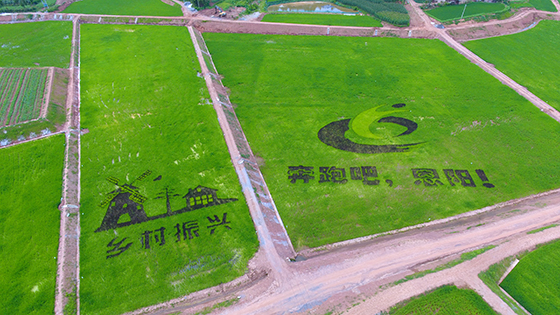 四川省巴中市恩阳区现代农业园区一角  巴中市农业农村局供图.JPG