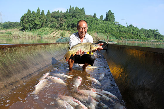 3展示“生态鱼” .jpg