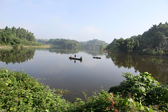 5生态、经济双赢.jpg