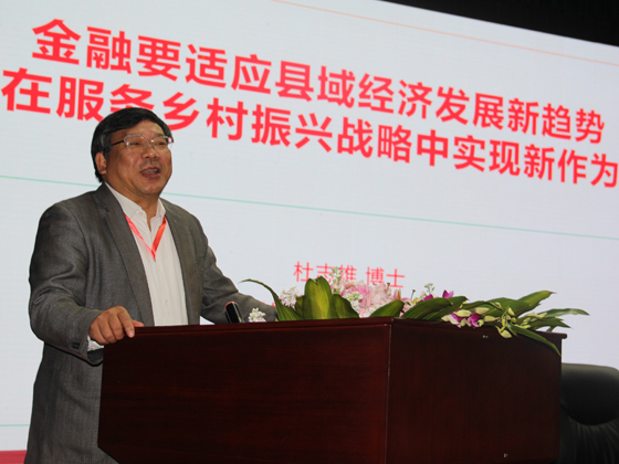中国县镇经济交流促进会会长、中国社科院农村发展研究所党委书记、博士生导师杜志雄演讲.JPG