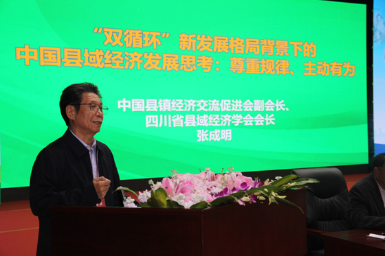 中国县镇经济交流促进会副会长、四川省县域经济学会会长张成明专题演讲.JPG