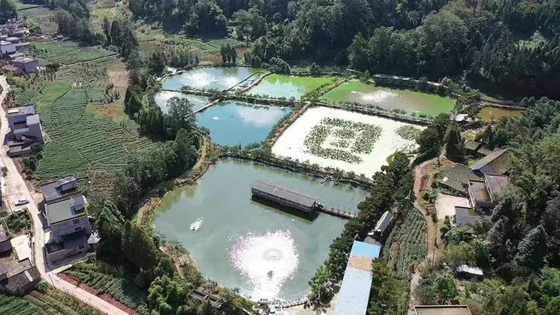 郑兴家家庭农场.jpg