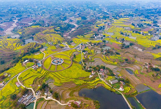 酿酒专用粮基地.jpg
