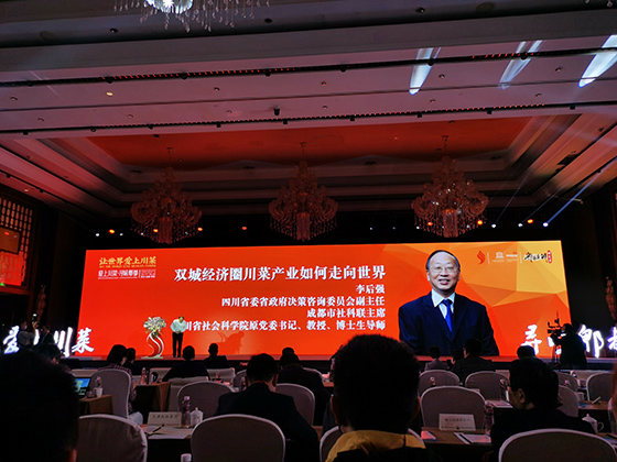 李后强的精彩报告为川菜高质量发展注入智慧动能.jpg