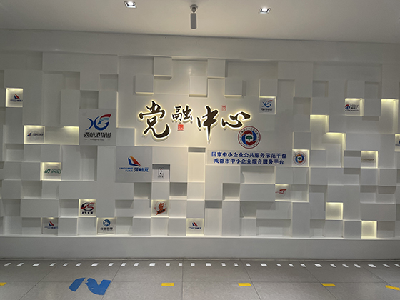 成都市双流区西航港街道党融中心.jpg