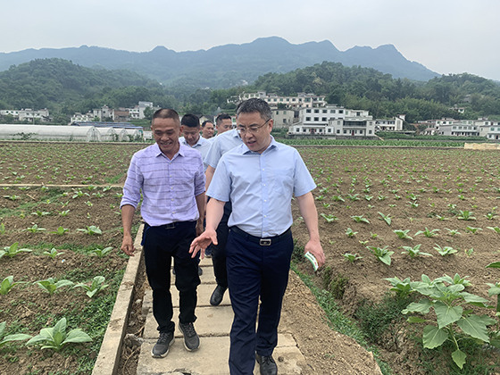 珙县农商银行董事长曹建林调研重点农业企业金融服务需求.jpg