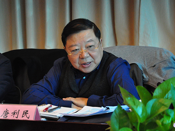 2.四川省委省政府决咨委副主任唐利民出席会议并讲话.JPG